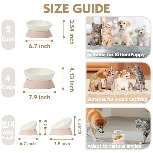 French Bulldog Food Bowl- Slanted Tilted Pug Food Water Bowl,Cat Bowl- Feeder for Frenchie/Shih Tzu/Flat Faced Small Dogs/Puppies/Cats (Lightpink, 2 Cup) - color: Lightpink, size: 2 Cup