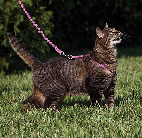 PetSafe Come with Me Kitty Harness and Bungee Cat Leash, Dusty Rose, Large | Adjustable 2-Point Fit Applies Gentle Pressure to Shoulders, Not Neck, for Average and Large Cats with 13 in - 18 in Girth - color: Dusty Rose, size: Large (Pack of 1)