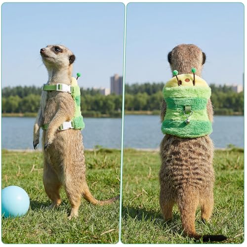 Ferret Harness and Leash Set Small Animals Vest Harness | with Safe Bell, Walking Clothes, for Baby Rabbit, Guinea Pig, Teacup Chihuahua, Mouse, and Other Small Pets