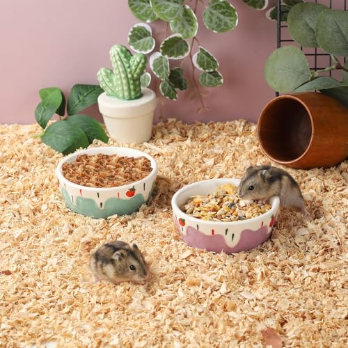 VanEnjoy 2 Pack Hamster Food Bowl Small Ceramic Water Food Bowl for Cage Small Animal Bowls for Hamster Guinea Pig Chinchilla Rabbit - Blue and Purple - color: Blue and purple