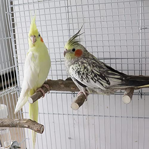 2 Pack Bird Ladder Perch for Cage, Parrot Perch Stand Toys, Natural Prickly Ash Wood Climbing Ladder, Cage Accessories for Small to Medium Birds Parakeets Cockatiels Rats Hamsters