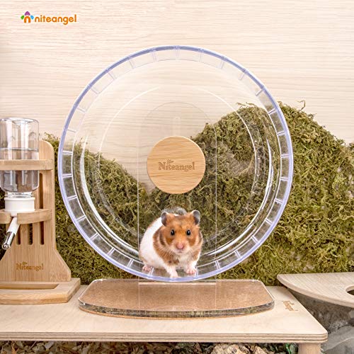 Niteangel Super-Silent Hamster Exercise Wheels: Quiet 10 inch Running Wheel | Can 10.6-13.4" Adjustable Height - No Bend Back Spinner Running for Dwarf Syrian Hamster Gerbils Mice Or Other Small Animal - color: Transparent, size: Medium