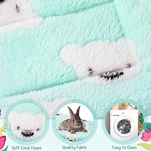 Jetec 2 Pieces Guinea Pig Bed Rabbit Bed Warm Small Animal Hamster Bunny Mats Winter Warm for Bunny Hamster Squirrel Hedgehog Chinchilla Small Animal Accessories(Green, Pink,Bear Pattern) - color: Green, Pink