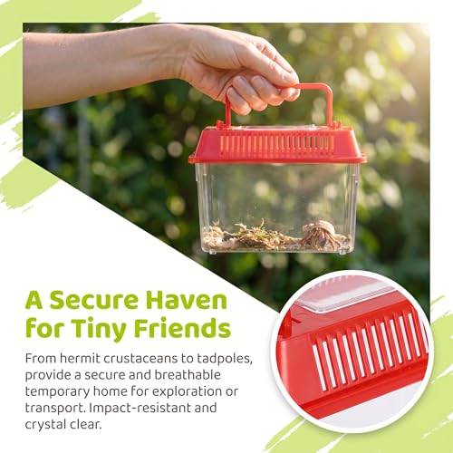 Angoily Turtle Tank, 0.4 Gal Portable Plastic Handheld Mini Fish Tanks Clear Reptile Habitat Carrier Catch and Release Aquarium Small Pet Aquarium with Handle for Travel and Home Use, Bug Cage Beach