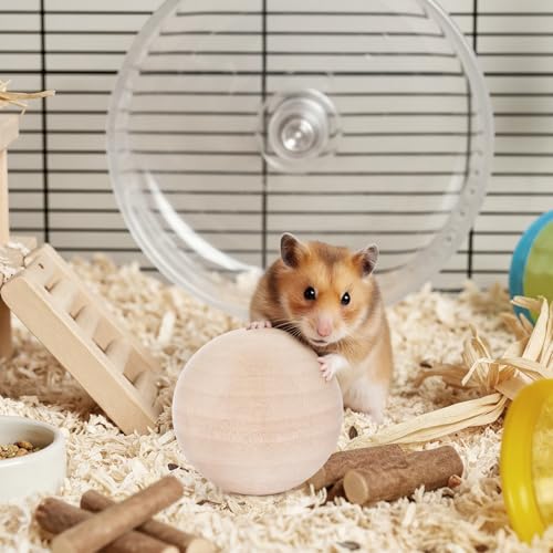 (2.36 inches) Hamster Wooden Grinding Ball Natural Pine Wood Non-Toxic Gnawing Toy pet Sports and Relaxation Supplies Golden Bear Flower Branch Mouse Teeth Care Interactive Ball