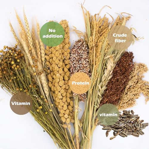 Natural Ear of Grain Flower&Herb Bedding Mate Habitat Decor, Adding Fun Hamster Accessories for Hamsters Gerbils Lemming - color: Harvest Wind