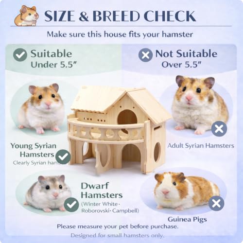 Improved Safety Large Balcony Small & Cute Wooden Hamster House with Large Balcony – Double-Decker Forest-Style Hut for Dwarf Hamsters, Mice, Gerbils, Rats & Small Pets (Compact Size Only)