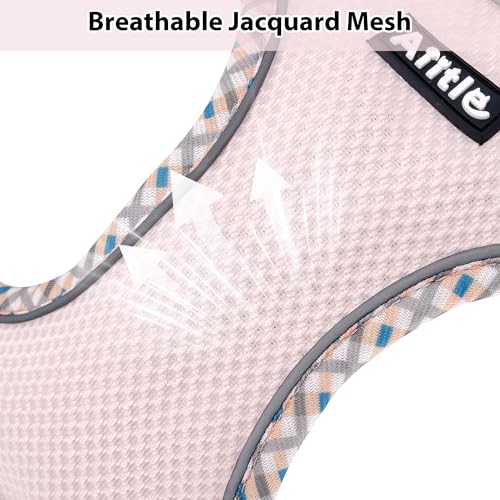 XXS Dog Harness & Leash Set - Breathable Reflective No-Choke Small Dog Harness for Teacup Puppies, Indoor/Outdoor Use - Boston Terrier, Maltese, Chihuahua (Blue-Pink, XXS) - color: Blue-Pink, size: XXS(Chest: 10 - 11.5")
