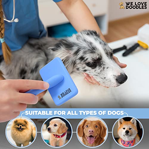 Slicker Brush for Dogs, Pet Grooming Brushes for Doodles & Poodles, Small | Best Brush For Long Haired Dogs, Dematting Comb & Deshedding Tools For Goldendoodle Coats, Puppy Matting Grooming Supplies - size: Small Slicker Brush