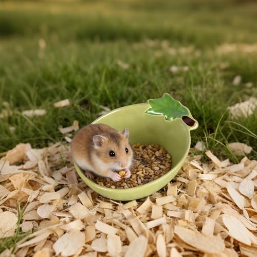 Small Guinea Pig Food Bowl Cute Ceramic Hamster Water Bowl Ferret Rat Chinchilla Rabbit Feeding Dish Young Animal Feeder (Avocado Green) - color: Avocado Green