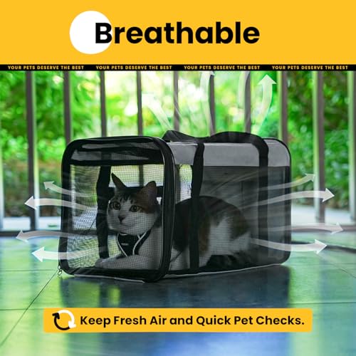 Conlun Soft-Sided Cat Carrier for Small-Medium Cats, Puppies up to 15 Lb, Airline Approved - color: Grey, size: M