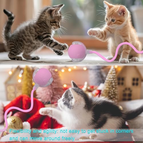 Interactive Cat Dog Toy Ball with LED Light, Automatic Rolling(Pink) | String Tail and LED Light Design, Motion Activated, Suitable for Interactive Indoor Pet Play and Exercise - color: Pink