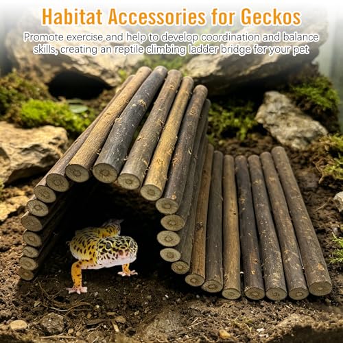 Hamiledyi 13.8" L x 7.9" W Wooden Reptile Bridge Ladder Climbing Toy Natural Hideout Tunnel Ramp for Lizards Gecko Spiders Snakes Tortoise