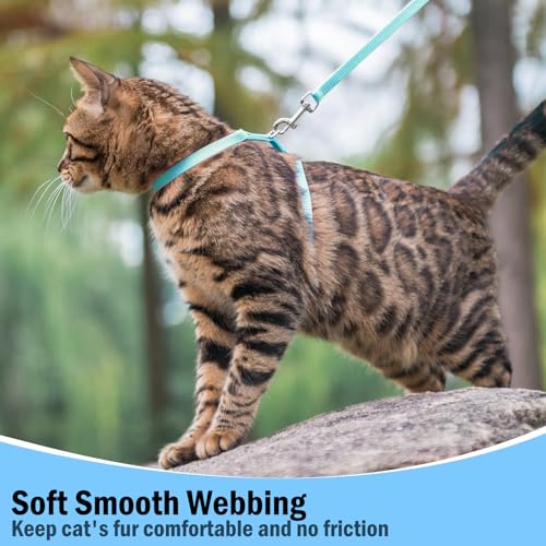 PUPTECK Adjustable Cat Harness and Leash Set Escape Proof Kitten Strap Collar for Walking Travel, SkyBlue - color: Sky Blue, size: Small
