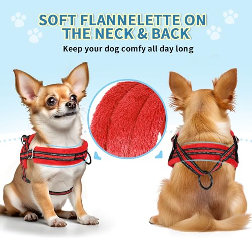 SlowTon No Pull Small Dog Harness and Leash Set with Front Clip | Soft Padded, Neck & Chest Adjustable, Lightweight, Anti-Twist, Puppy Vest Harness Pet Lead Combo for Small Medium Dog, R S - color: Red, size: X-Small