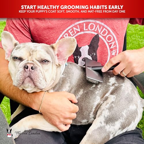 Warren London Gentle Touch Slicker Brush for Puppies & Small Dogs - style: Gentle Touch Puppy Brush Small