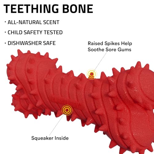 Playology Puppy Teething Bone Dog Chew Toy - Jumbo, Beef Scent | Great For Puppies and Young Dogs, Teeting Nubs Soothe Gums, Durable Rubber, Large Breed - size: Jumbo, style: Beef