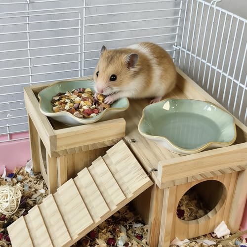 2PCS Ceramic Hamster Food Dish,Lotus Leaf Guinea Pig Food Bowls | Rats Anti-Turning Feeding Dishes for Gerbils Mice 4.5in,Shallow Chew-Proof Bowl, Non-Slip Base, Easy to Clean - size: 2Pcs Green