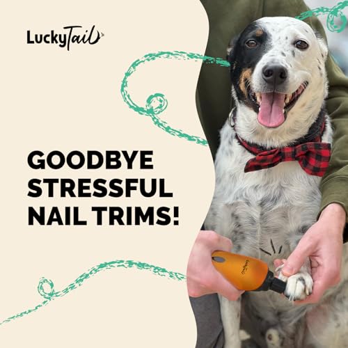 Pet Nail Grinder for Dogs and Cats - Super Quiet and Low Vibration Electric Dog Nail Grinder with 2 LED Lights - USB Rechargeable and Cordless - 2 Speeds - Small to Large Pets - Orange - color: Orange