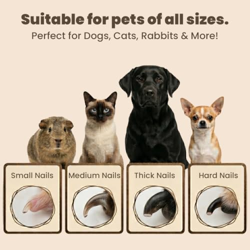 2-in-1 Dog & Cat Nail Clipper and Grinder with Light - USB Rechargeable Pet Nail Trimmer with Safety Guard for Thick Nails, Quiet Professional Grooming Tool - color: white