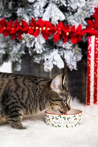 Pearhead Ceramic Merry Catmas Cat Bowl, Holds 12 oz, Holiday Christmas Design, Seasonal Pet Food and Water Dish - color: Merry Catmas, size: Single Bowl