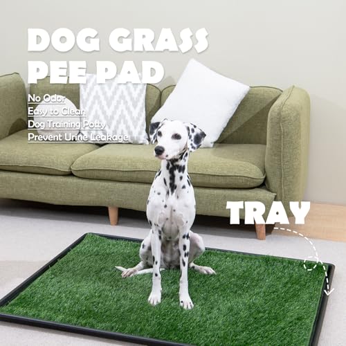 MEEXPAWS Dog Grass Pee Pads for Dogs with Tray | Medium 31×21 in | 2× Dog Artificial Grass Pads Replacement| Rapid Drainage | Indoor Litter Box | Hemmed Edge - size: Medium - 31 x 21 inch
