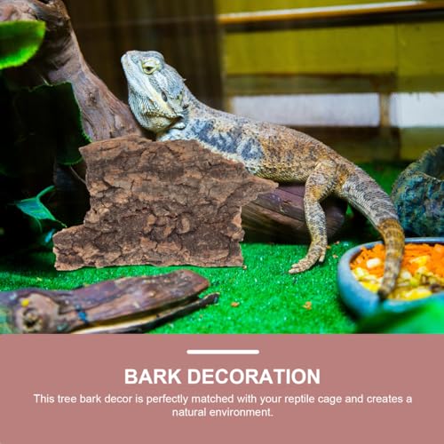 Beavorty 10Pcs Reptile Tree Bark Decor Natural Cork Bark Platform for Lizards Spiders Hamsters Reptile Habitat Climbing and Resting Basking Terrace 3.93X3.54X0.19In