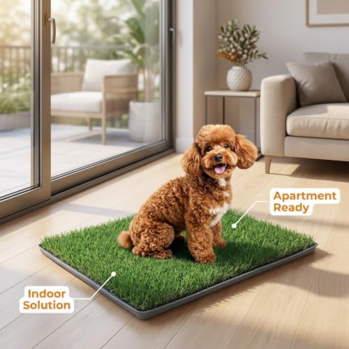 THREE ORANGES Dog Grass Pee Pads, 2 Pack 20 x 24 Inch Artificial Grass Replacement Mats for Dog Potty Trays, Soft 1.38 Inch Washable Turf with Drainage Holes, Indoor Outdoor - size: 20in*24in (with tray)