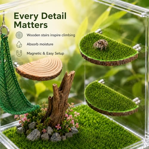 2 in 1 Jumping Spider Enclosure Accessories - Magnetic Feeding Dish with Jumping Wood Ledges | Acrylic Water Bowl Food Dish Habitat Decor for Tarantula Small Spider Reptile
