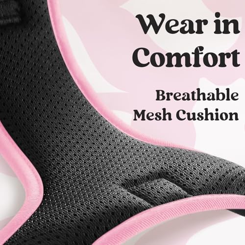 rabbitgoo Dog Harness Small Sized, Updated Easy On & Off with 3 Buckles | No Pull No Choke, Walking with 2 Clips and Handle, Adjustable Soft Reflective, Black & Pink, Small - color: Black & Pink, size: Small