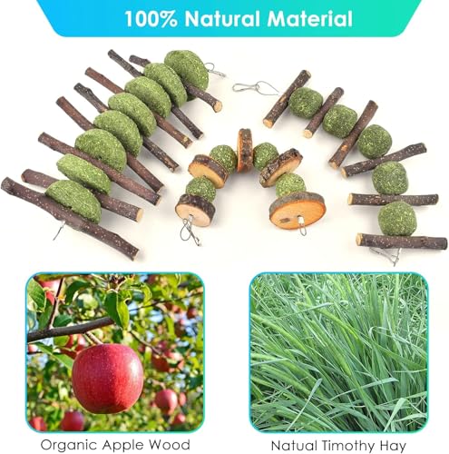 ERKOON Bunny Chew Toys, Rabbit Chew Toys for Teeth Grinding, Improve Dental Health, 100% Natural Apple Wood Timothy Grass Cake Treats for Rabbits Guinea Pigs Chinchillas Bunnies Hamsters (9 Pcs) - style: 9 Pcs