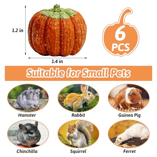 Fhiny 6 PCS Rabbit Chew Toys, Natural Pumpkin Carrot Timothy Grass Guinea Pig Chew Toys for Teeth Bunny Molar Snacks Dental Care Hamster Treats for Bunny Guinea Pig Chinchilla Hamster Gerbil - size: 6 PCS