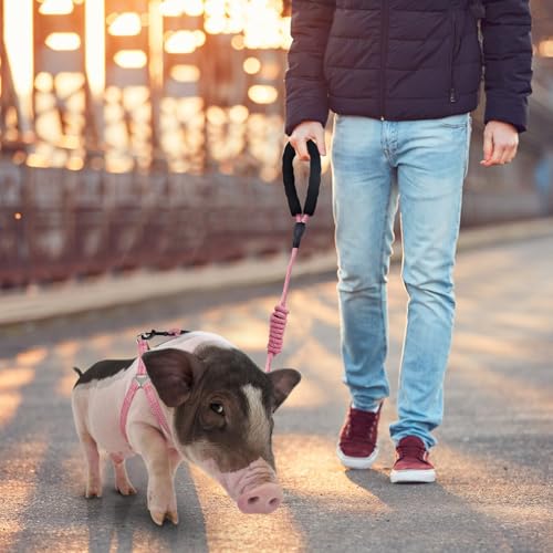 YeeBeny Mini Pig Harness Adjustable with Leash Foam Handle Pink, M | Adjustable Small Pig Harness with Leash Infinity Style Lead and Soft Foam Handle for Walking Training Jogging - color: Pink, size: M