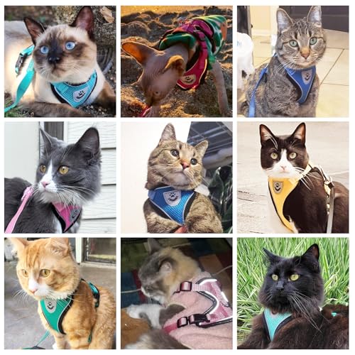 PUPTECK Cat Harness and Leash Set Escape Proof Reflective Cat Walking Harness Adjustable Soft Breathable Mesh Vest for Small Pets, Aquamarine, S - color: Aquamarine, size: S (NECK 9.5"-11", CHEST 13"-16")