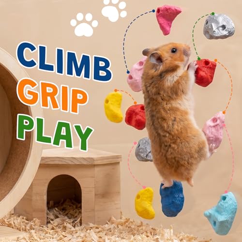 16 PCS Hamster Climbing Wall Toys, 8 Assorted Shapes & Colors Smooth Bite Resistant Climbing Holds, Traceless Adhesive Small Animal Cage Enrichment for Syrian Dwarf Hamsters, Gerbils & Mice