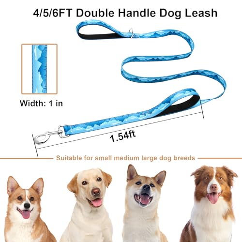 4ft Dog Leash with Two Padded Handles, Heavy Duty Strong Nylon Pet Leash with Soft Neoprene Handle for Small Medium Large Dogs, Blue Sunset - color: Blue Sunset, size: 1 in x 4 ft