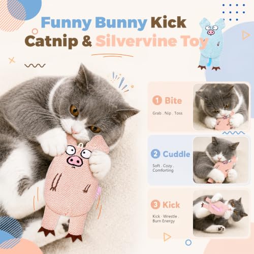 Cat Toys for Indoor Cats, 2 PCS 8000mg A+Natural Catnip Silvervine Crinkle | Interactive Cat Toys Pig with Bell Elastic Tail, Baby-Grade Plush Chew Toy Teeth Cleaning, Catnip Cat Kicker Toy for Kitten