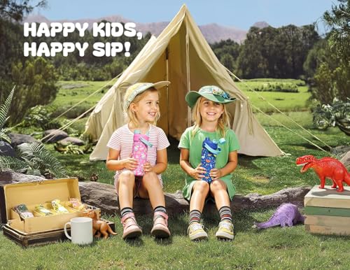 12 oz Kids Leakproof Water Bottle: 2-in-1 Straw Spout Lid, BPA-Free, Easy Carry, Keep Cold 24H, Cupholder Friendly, Stainless Steel Cup for Summer Camp, Playground, Trip, Birthday Gift (Dark Knight) - color: Dark Knight, size: 12 Ounces