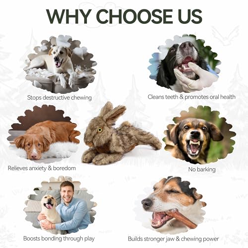 ALL FOR PAWS Squeaky Dog Toys, Dog Stuffed Animal Toys, Plush Toy for Small Medium Large Dogs, Puppy Chew Toy with Squeaker, Brown Rabbit-S | Plush Toy for Small Medium Large Dogs, Puppy Chew Toy with Squeaker, Brown Rabbit-S - size: Small (Pack of 1)