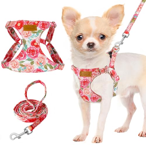 Lukovee Puppy Harness and Leash Set, No Pull, Lightweight Step in Vest | Adjustable, Soft Suede Vest, Easy Put on and off Pet Harness with Snap Buckle & 51in Leash for Small Medium Dogs (Pink-R,XXS) - color: Pink Rose, size: XX-Small ( 2.2-6lb )
