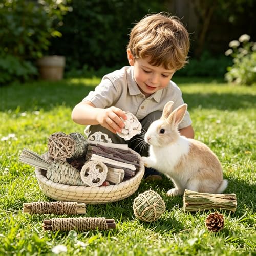 Foxtell 19Pcs Bunny Chew Toys, Rabbit Chew Sticks, Guinea Pig Toy, Natural Bunny Toys Chew and Treat for Guinea Pigs, Chinchillas, Hamsters and Other Small Pets