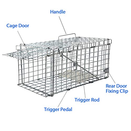 Gingbau Squirrel Trap Foldable Heavy Duty Humane Live Animal Cage Trap (Not for Mouse)