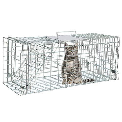 ANT MARCH 32'' Live Animal Cage Trap with Gloves Steel Humane Release | Rodent Cage Trap for Rabbits, Stray Cat, Squirrel, Raccoon, Mole, Gopher, Opossum, Skunk, Chipmunks, Groundhog