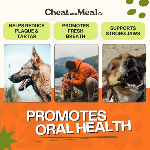 Bully Sticks for Small Dogs & Puppies - Puppy Chew Toys for Teething, 6 Inch (25 Count), Long Lasting Dog Chews, Single Ingredient 100% Grass-Fed, Free Range, Rawhide-Free - size: 9.5 Ounce (Pack of 1)