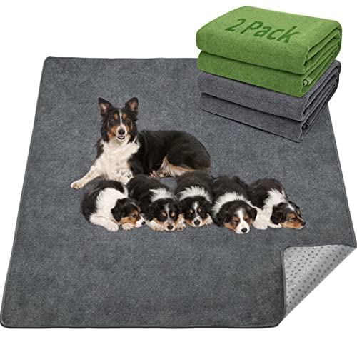 LOOBANI Washable Pee Pads for Dogs, 2 Pack Leak-Proof Dog Mats,72"x72",Mix | Super Absorbent and Non-Slip Puppy Pads, Machine Washable, Extra Large Whelping Pads for Crate, Playpen, Floor, Housebreaking - size: 72"*72"(Pack of 2) Gray&Green