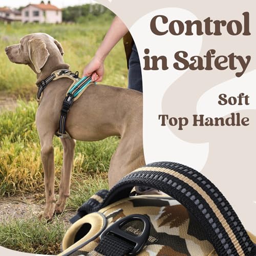 rabbitgoo Dog Harness Small Sized, Updated Easy On & Off with 3 Buckles | No Pull No Choke, Walking with 2 Clips and Handle, Adjustable Soft Reflective, Desert Ridge, Small - color: Desert Ridge, size: Small