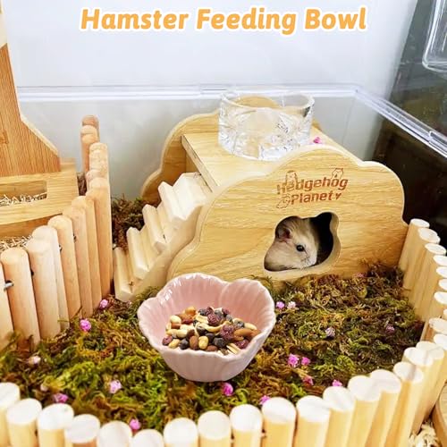 Tfwadmx 2 Pcs Hamster Food Bowl, Ceramic Pet Hamster Bowl Dwarf Hamster Food Bowl Feeder Hamster Water Rat Bowl Small Animal Food Dish for Golden Bears, Hedgehogs, Dutch Pigs, Parrots (Pink) - color: Pink