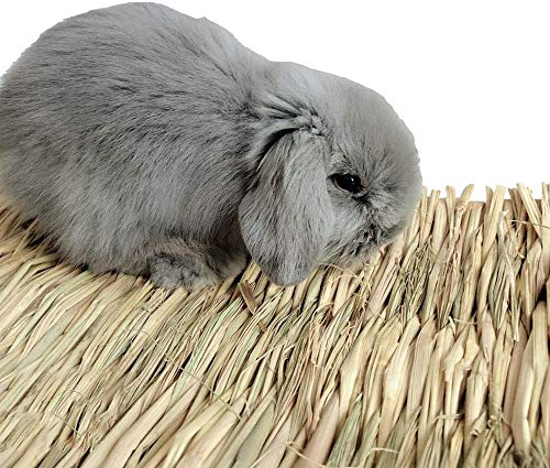 Hamiledyi Grass Mat Woven Bed Mat for Small Animal 3PCS Large Bunny Bedding Nest Chew Toy Bed Play Toy for Guinea Pig Parrot Rabbit Bunny Hamster Rat