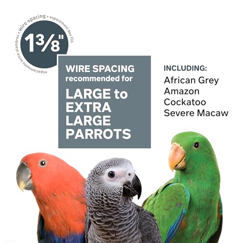 Prevue Pet Products Empire Bird Cage, X-Large, Black Hammertone,46" L x 36" W x 78 1/4" H