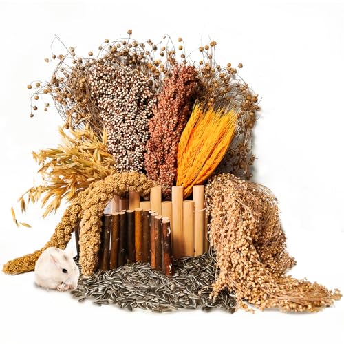 Natural Hamster Flower & Herb Habitat Deocr, Hamster Sprays Herbs Bedding Mate, Hamsters Cage Enrichment Decoration Accessories for Gerbil Dwarf Syrian Hamsters Guinea Pig Mice or Small Animals